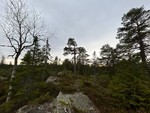 Barlindhøgda Vest