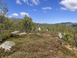 Stavtjørnknuten