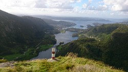 Ulskebjørnen