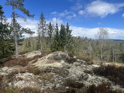 Merraåsen