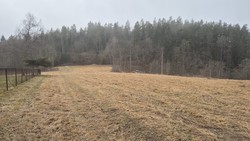 Brastdalsåsen