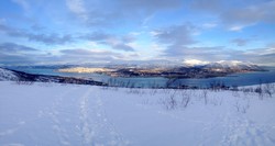 Slaktarhaugen