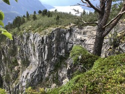 Paradisjuvet