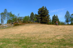 Høgvammerhaugen