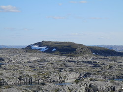 Rundemannsheia