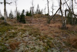 Øverliåsen