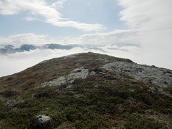 Juldalsknotten