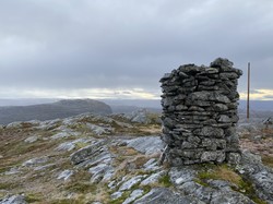 Reinsnuten