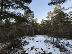 Bastaufjell