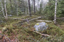 Lundsæterhøgda