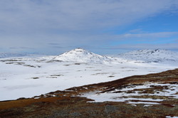 Hælfjellet