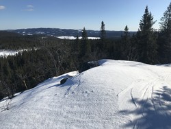 Svarthøgda