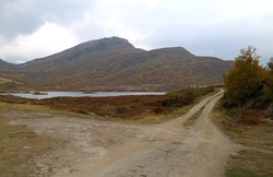 Geithøe