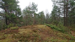 Mykingåsen