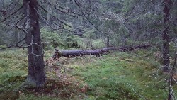Øvre Rusten