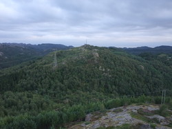 Skjevråsen