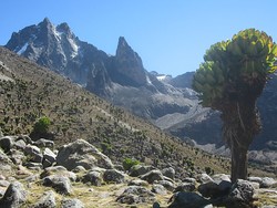 Nelion