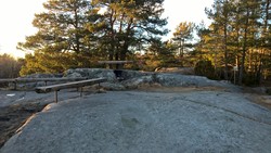 Hjertnesskogen