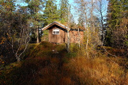 Elgshøgdbua