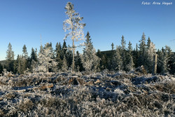 Kjeltåsberget