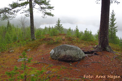 Kjerringryggen