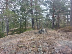 Stavsnes