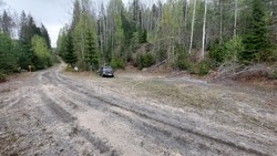 Rundkoll parkering