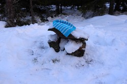 Snauberget