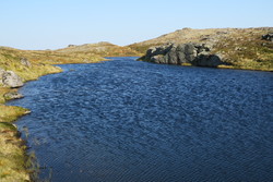 Skorvå N