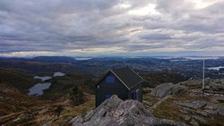 Stormfuglen