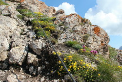Via Ferrata Col Rodella