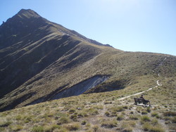 Ben Lomond