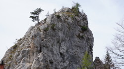 Turmstein