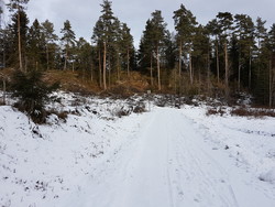 Hagaåsen