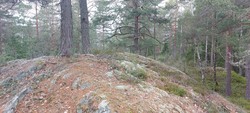 Korsfjell