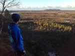 Stavikhaugen