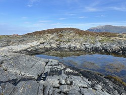 Bussholmen