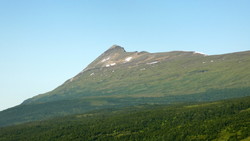 Årsteinhornet
