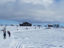 Ruperanden