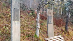 Kongebjørka
