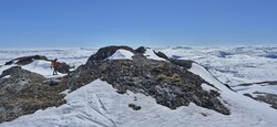 Raudhaugane