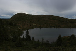 Kalvemellen