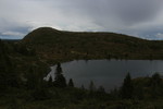 Kalvemellen