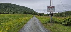 Årmotsvegen