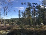 Øytangen