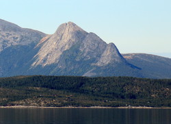 Bjørnkjeften