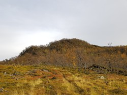 Rossåsen