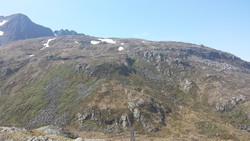 Surndalsheia