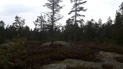 Rundelstoppen