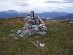 Steinheia